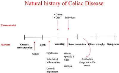 Can Celiac Disease Be Prevented?